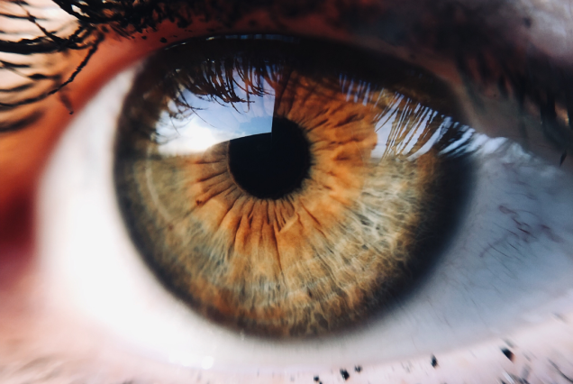 İris Göz Fotoğrafı